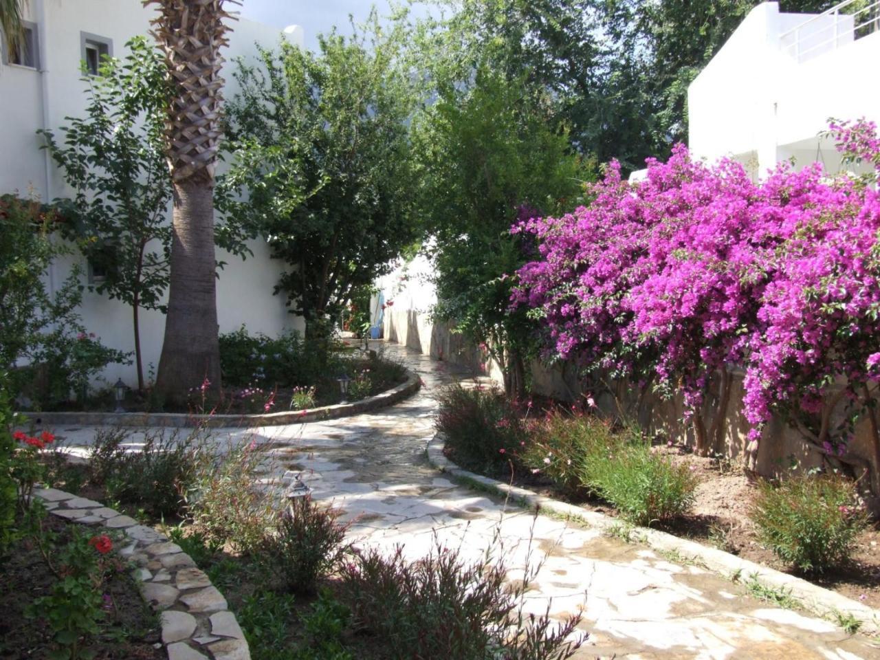 Istanbul Hotel Bodrum ทูร์คบูคู ภายนอก รูปภาพ