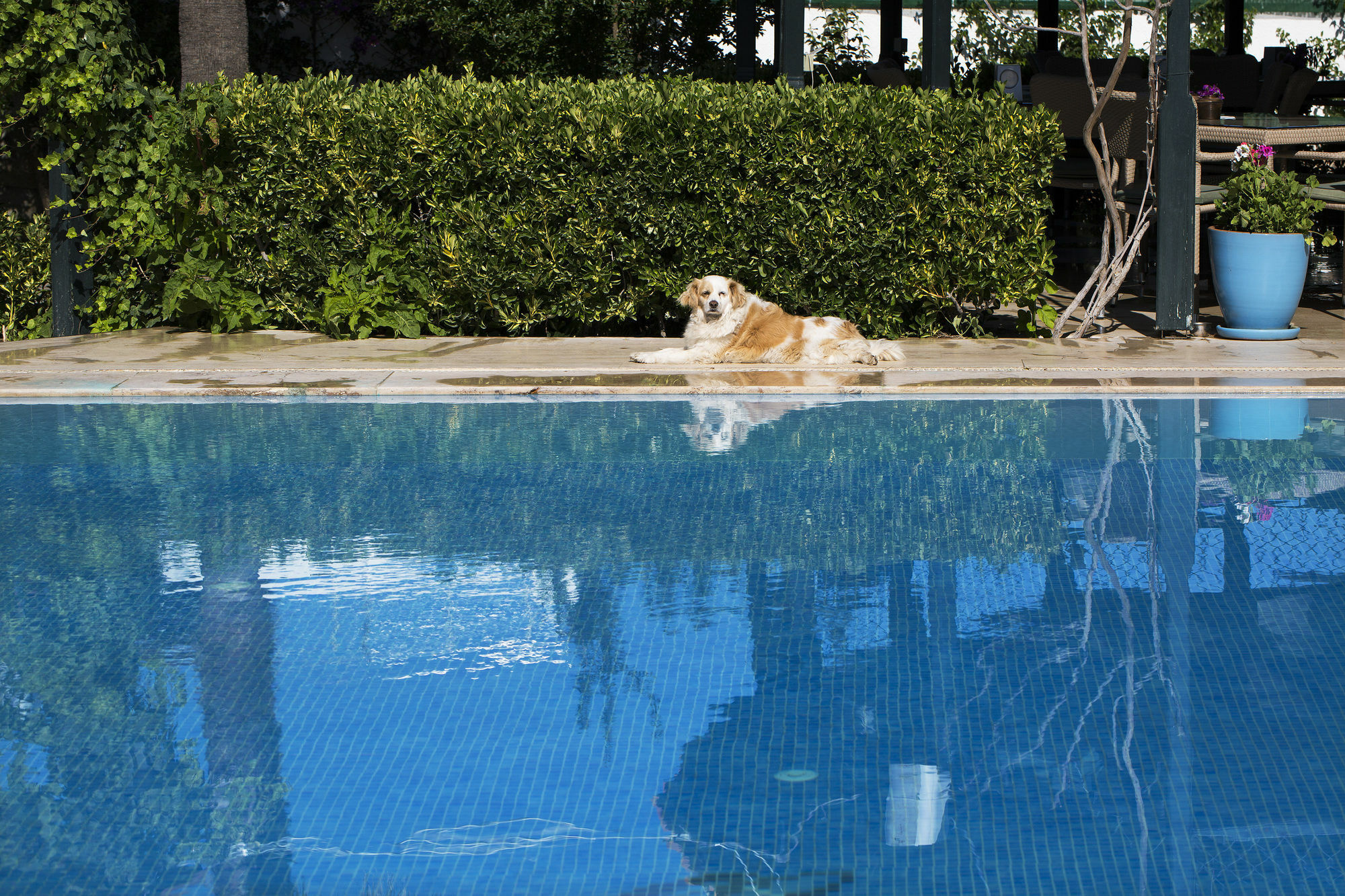 Istanbul Hotel Bodrum ทูร์คบูคู ภายนอก รูปภาพ